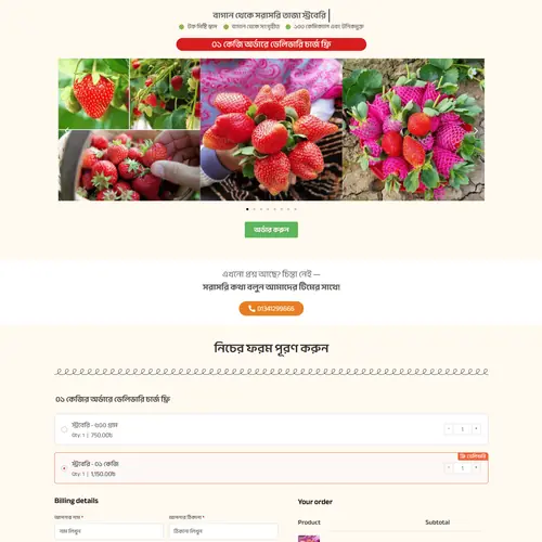 web development portfolio